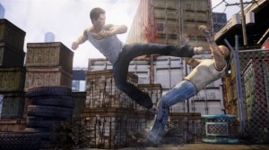 sleeping dogs